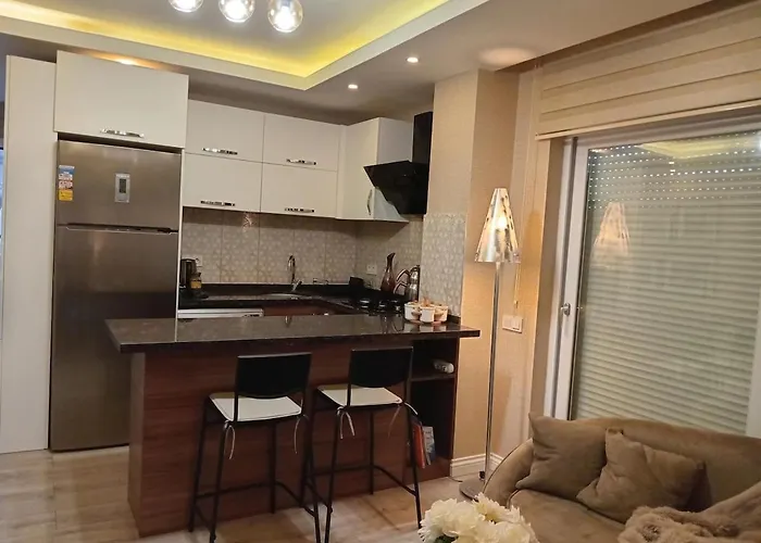 Metropolitan Art Apartment