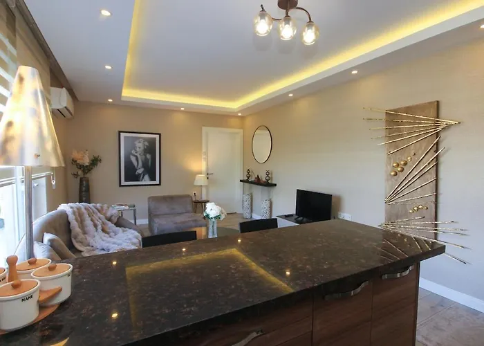 Metropolitan Art Apartment